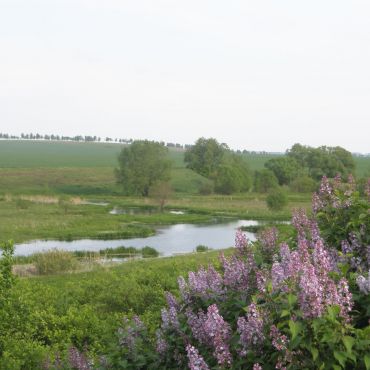 Рождественка