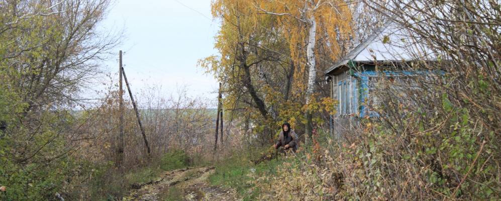 Фотография Дроздов