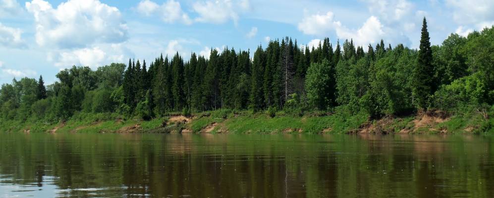 Фотография Коршунихи