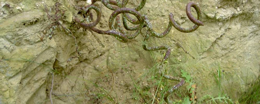 Фотография Берри-о-Бак