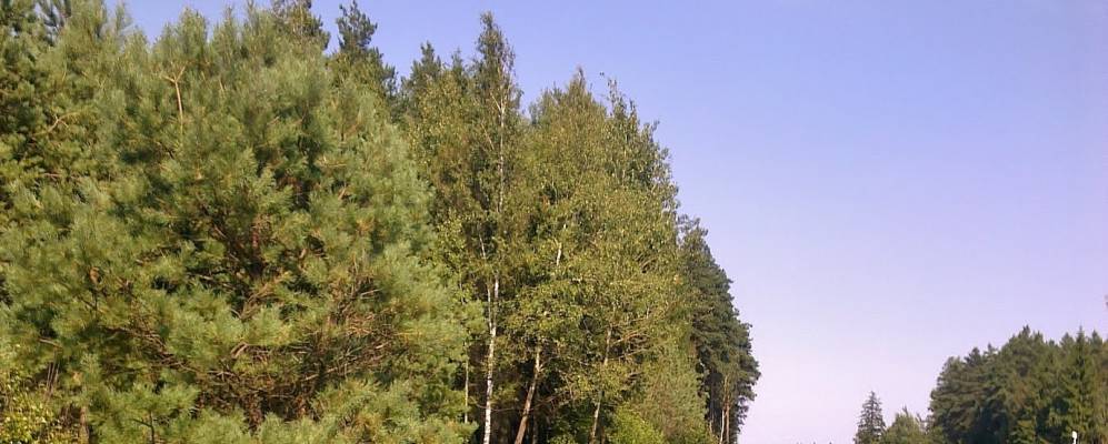 Фотография Смольницы