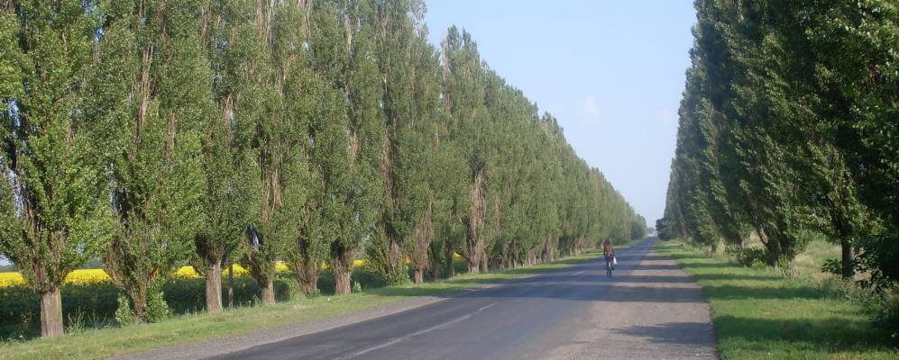 
            Фотография Казачьего