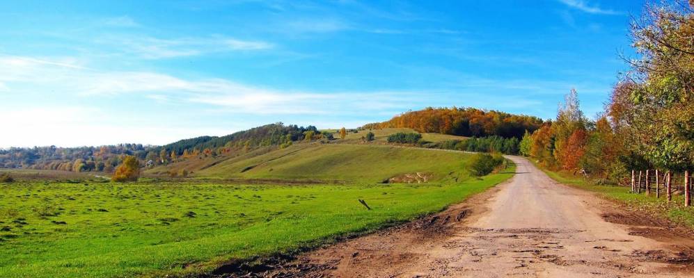 
            Фотография Поляны