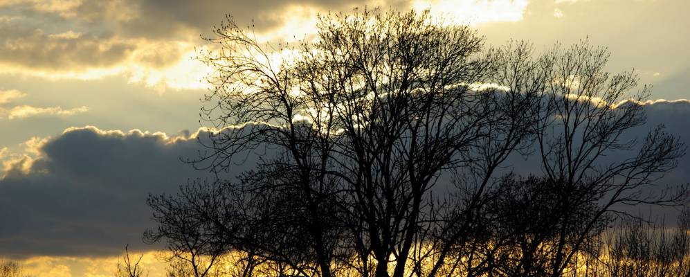 
            Фотография Жарнака