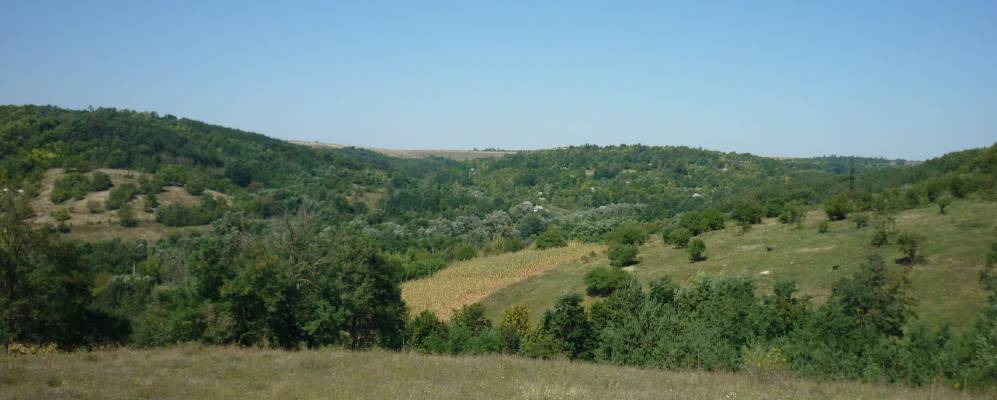 
            Фотография Карповки