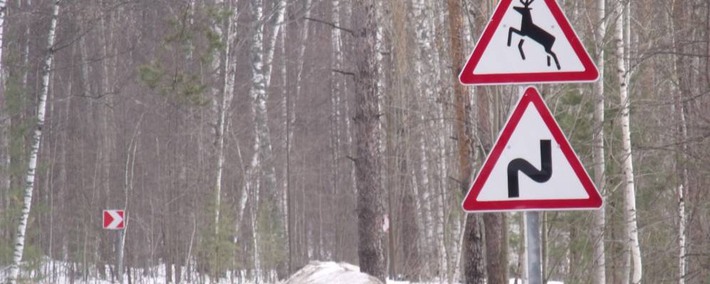 
            Фотография Макаровки