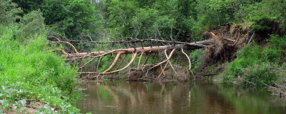 
            Фотография Чуркиных