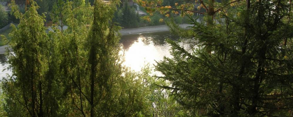 Фотография Мохово