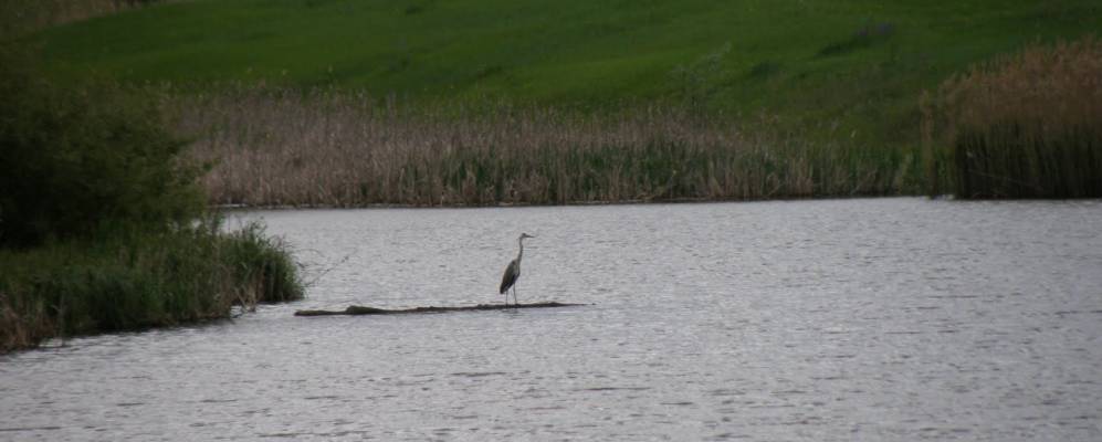 
            Фотография Михайловского