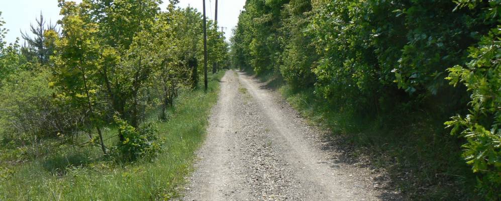 
            Фотография Этреши