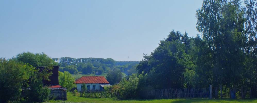 
            Фотография Писарево