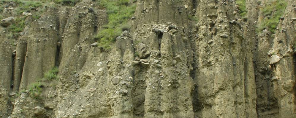 
            Фотография Дайкау