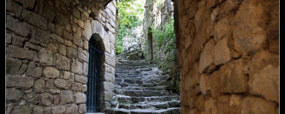 Фотография Бана