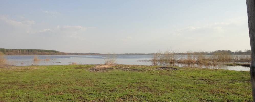 
            Фотография Староселья