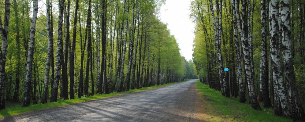 
            Фотография Антоновки