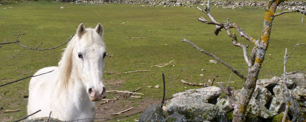 
            Фотография Кольменар-дель-Арройо