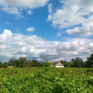 Зубутли-Миатли