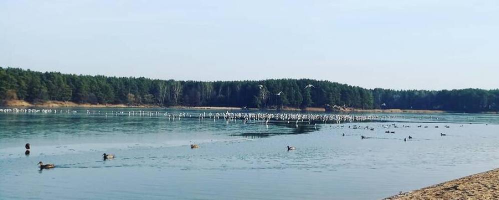 Фотография Тропинки