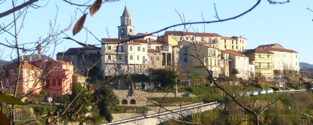 
            Фотография Брачелли