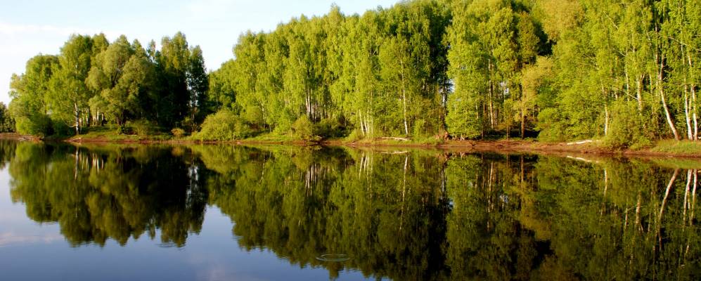 
            Фотография Искры