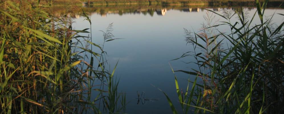 
            Фотография Глаженки