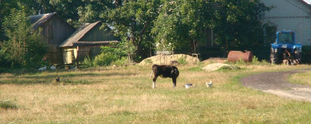 
            Фотография Гаи-Суходольские