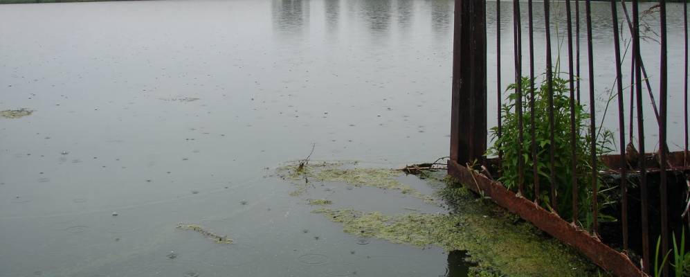 Фотография Курзанихи