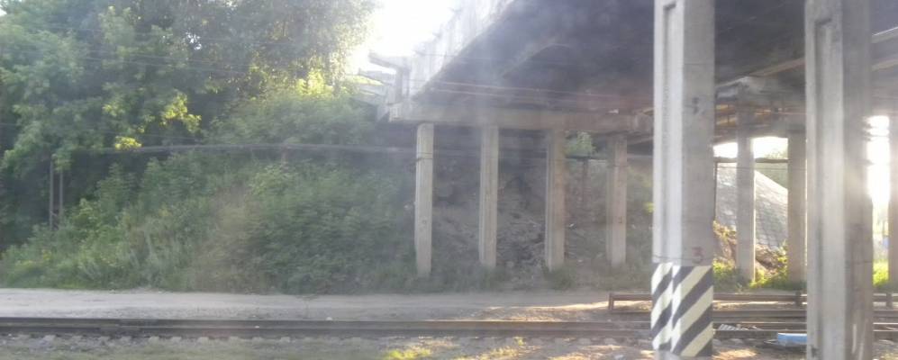 
            Фотография Лесозавода