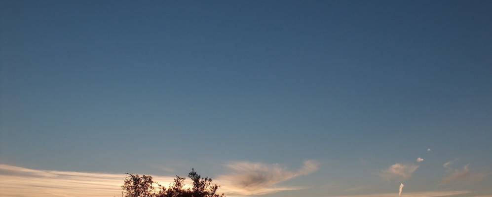 
            Фотография Одриньяш