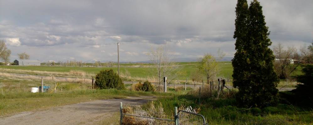 
            Фотография Джерома