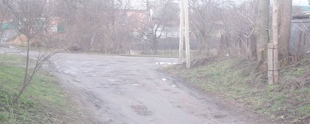 
            Фотография Стрижевки