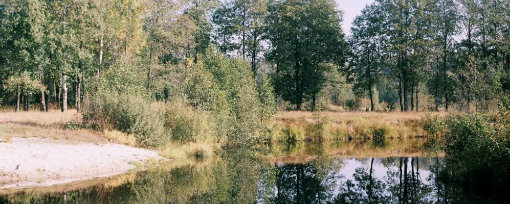 
            Фотография Гусево