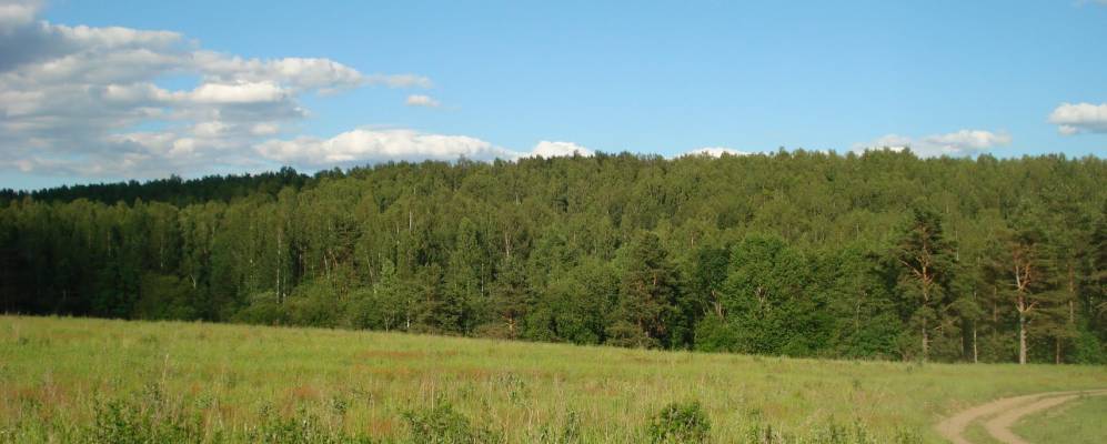 
            Фотография Староселья