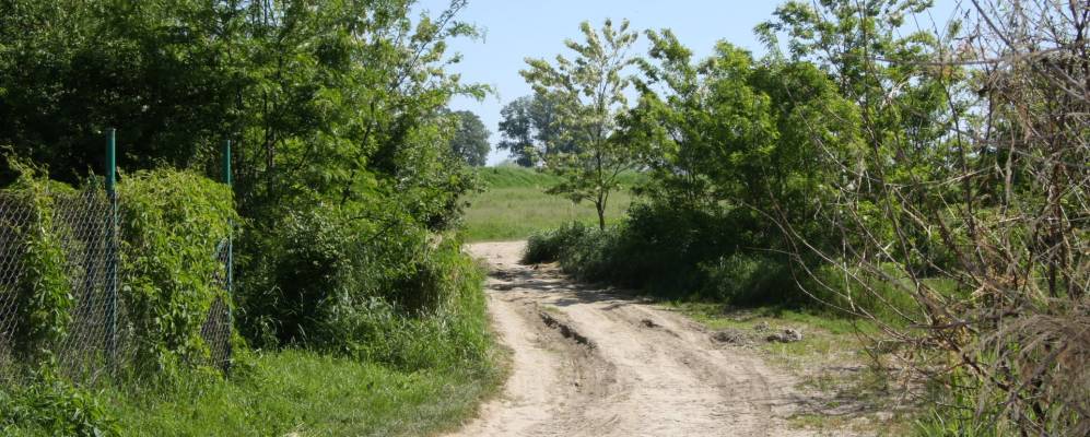 
            Фотография Элитного