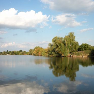 Гнаровское