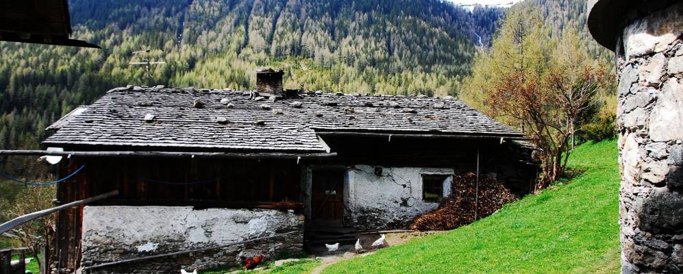 
            Фотография Предои