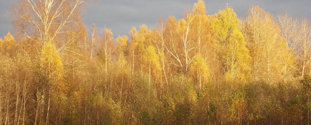 Фотография Слудки