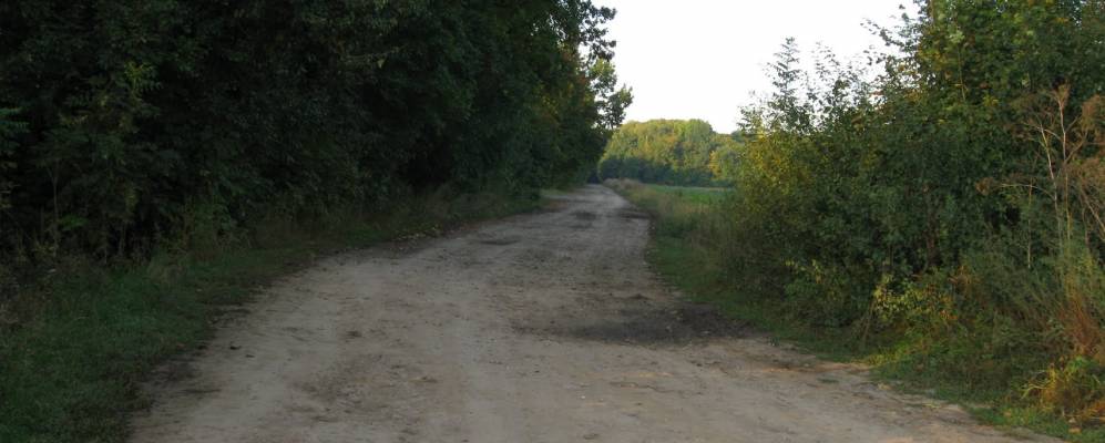 
            Фотография Лесной Поляны