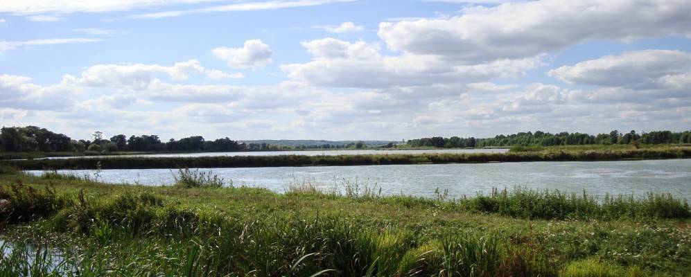 
            Фотография Заречья