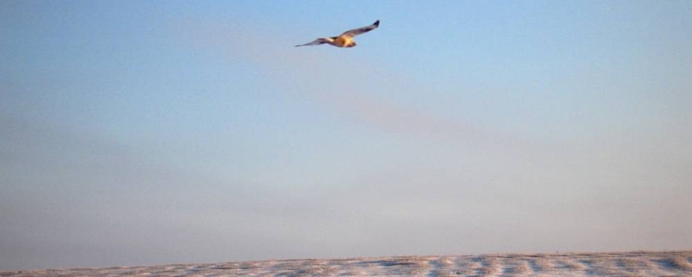 Фотография Старого Алдара