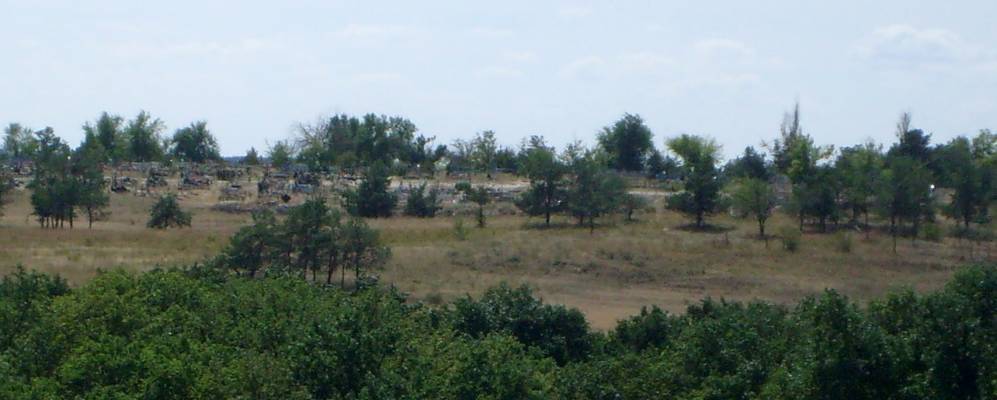 
            Фотография Кировца