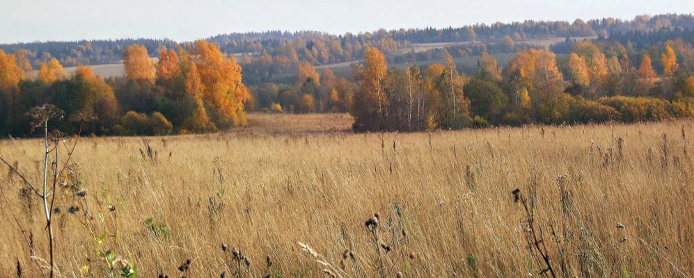 
            Фотография Старо-Алексино