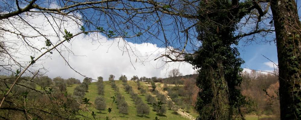 
            Фотография Казапроты