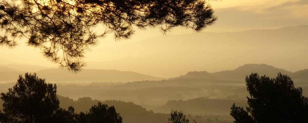 
            Фотография Жукаса