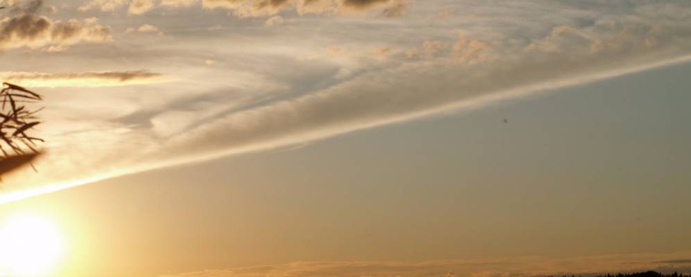 
            Фотография Артюшинской