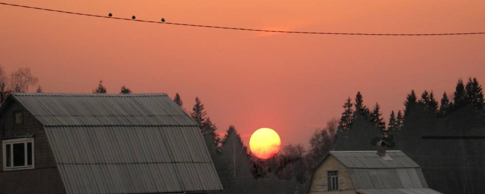 
            Фотография Васильевского