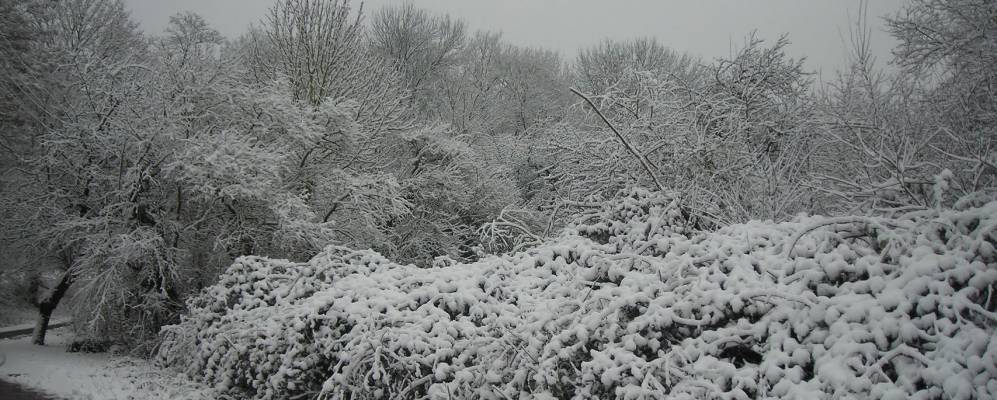 
            Фотография Гермерсхайма