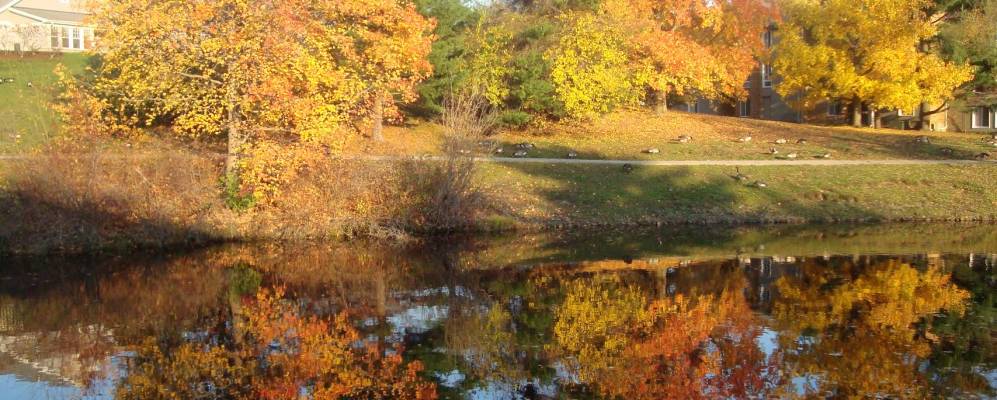 
            Фотография Эшелона