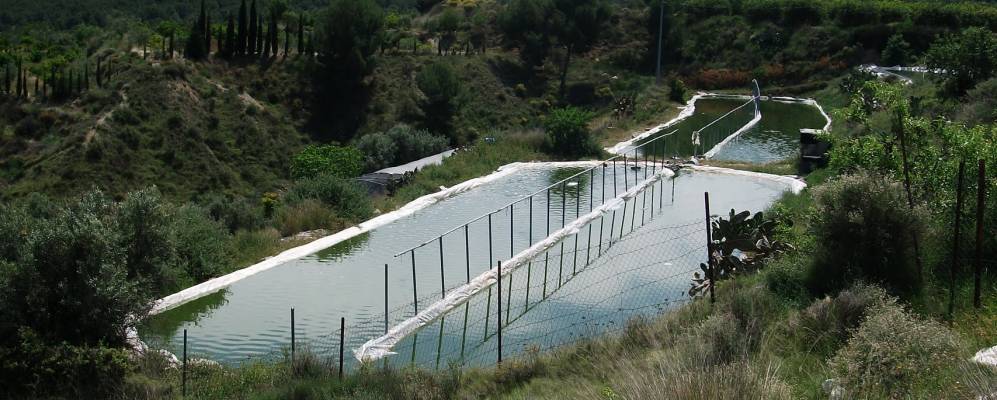 
            Фотография Плиего