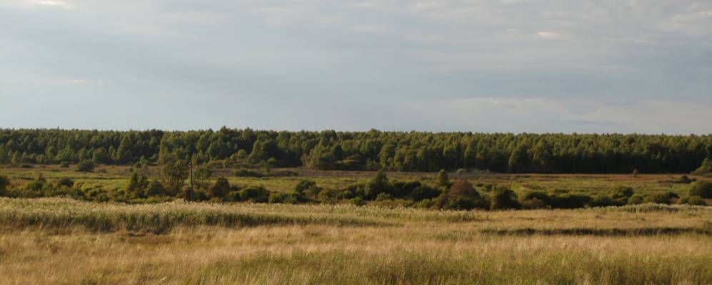 
            Фотография Боярской